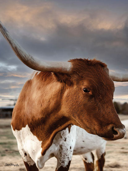 Dakota Diener DAK148 - DAK148 - Profile Pose - 12x16 Cow, Longhorn, Portrait, Photography, Landscape from Penny Lane
