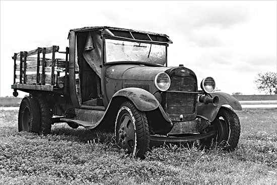 Dakota Diener DAK162 - DAK162 - Vintage Vehicle I - 18x12 Photography, Truck, Vintage, Old Fashioned, Black & White, Masculine, Field from Penny Lane