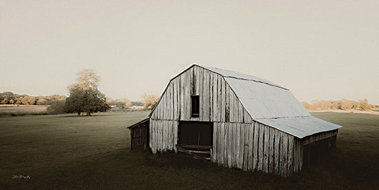 Dakota Diener DAK184 - DAK184 - Barn in Peaceful Pasture - 18x9 Barn, Farm, Landscape, Photography, White Barn, Field, Trees from Penny Lane