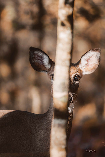 Dakota Diener DAK213 - DAK213 - Hiding Spot - 12x18 Photography, Deer, Tree, Whimsical from Penny Lane