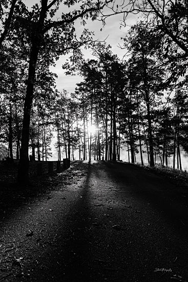 Dakota Diener DAK221 - DAK221 - End of the Day - 12x18 Photography, Landscape, Trees, Hill, Black & White, End of the Day from Penny Lane