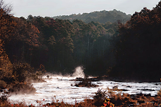 Dakota Diener DAK224 - DAK224 - In the Wilderness - 18x12 Photography, Landscape, Hills, Trees, River, Fall from Penny Lane