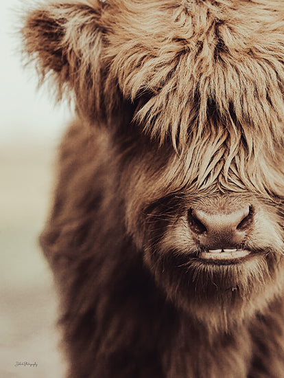 Dakota Diener DAK263 - DAK263 - Little Zeke Close-up - 12x16 Photography, Cow, Close-up, Portrait, Brown from Penny Lane