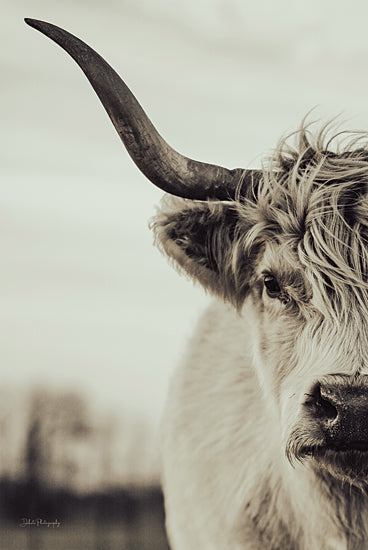 Dakota Diener DAK264 - DAK264 - See My Point - 12x18 Photography, Cow, Highland Cow, Farm Animal, Portrait, Sepia from Penny Lane