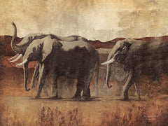 DD1466 - The Elephant March - 16x12