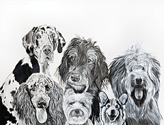 DF139 - Lots of Dogs - 16x12