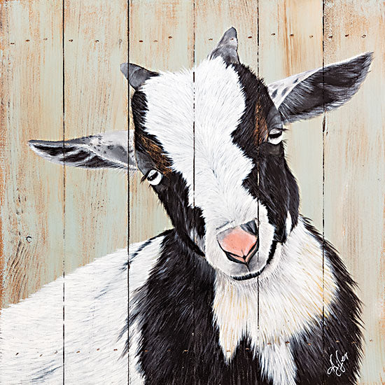 Diane Fifer DF162 - DF162 - Want to Play? - 12x12 Goat, Farm Animal, Wood Background, Portrait from Penny Lane