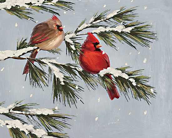 Dogwood Portfolio DOG233 - DOG233 - Snowy Branch Cardinals - 16x12 Winter, Cardinals, Trees, Pine Trees, Snow, Male and Female Cardinals from Penny Lane