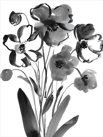 Dogwood Portfolio DOG256 - DOG256 - Modern Poppies - 12x16 Flowers, Poppies, Drawing Print, Black & White, Modern, Sketch, Contemporary from Penny Lane