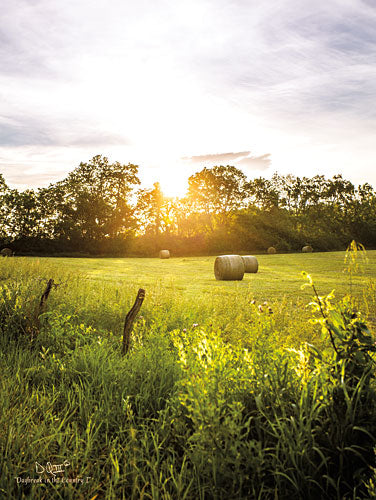 Donnie Quillen DQ125 - Daybreak in the Country I - Country, Field, Sun from Penny Lane Publishing