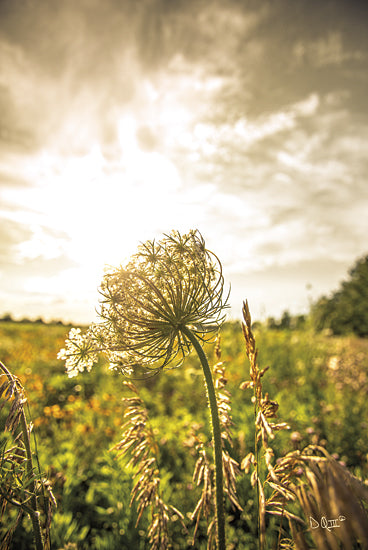 Donnie Quillen DQ131 - Face the Sun I - Landscape, Nature, Field from Penny Lane Publishing