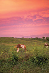 DQ196 - Horse at Sunset  - 12x18