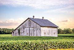 DQ197 - Rural Ohio Barn - 18x12