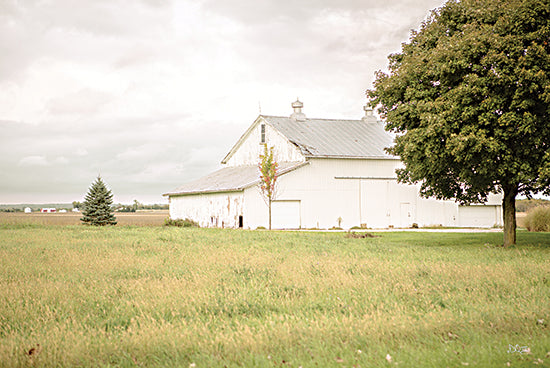 Donnie Quillen DQ266 - DQ266 - Barn in the Country I - 18x12 Barn, Farm, White Barn, Fields, Landscape, Photography, Trees, Farmhouse/Country from Penny Lane