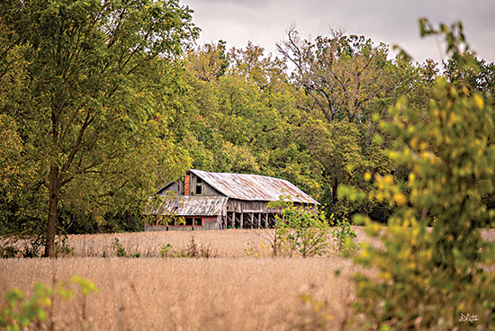 Donnie Quillen DQ267 - DQ267 - Barn in the Country II - 18x12 Barn, Farm, Fields, Landscape, Photography, Trees, Farmhouse/Country from Penny Lane