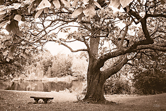 Donnie Quillen DQ271 - DQ271 - Peaceful Resting Spot - 18x12 Photography, Landscape, Trees, Pond, Bench, Sepia, Peaceful Resting Spot from Penny Lane