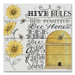 DS2048PAL - Hive Rules - 16x12