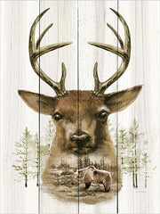 ED351 - Deer Wilderness Portrait - 12x16