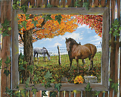 ED444 - Barn View II - 16x12