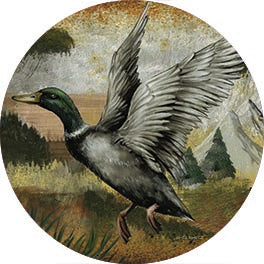 Ed Wargo ED480RP - ED480RP - Mallard Duck - 18x18  from Penny Lane