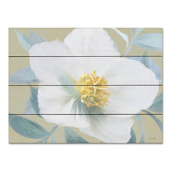 House Fenway FEN424PAL - FEN424PAL - Golden Bloom - 16x12 Flowers, White Flower, Abstract, Bloom from Penny Lane