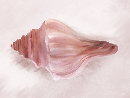 House Fenway FEN477 - FEN477 - Conch Shell Blush I - 16x12 Conch Shell, Coastal from Penny Lane