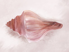 FEN477 - Conch Shell Blush I - 16x12