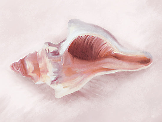 House Fenway FEN478 - FEN478 - Conch Shell Blush II - 16x12 Conch Shell, Coastal from Penny Lane