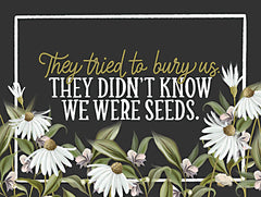 FEN507 - We Were Seeds - 16x12