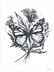 FEN521 - Black & White Butterfly - 12x16