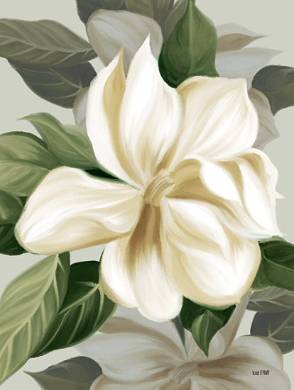 House Fenway FEN532 - FEN532 - Magnolia Blossoms II - 12x16 Magnolias, Blossoms, Flowers, White Magnolias, Blooms, Botanical from Penny Lane