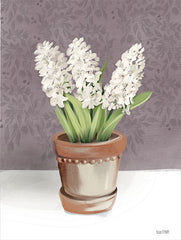 FEN626 - House Hyacinth Plant - 12x16