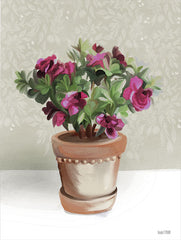 FEN627 - House Begonia Plant - 12x16
