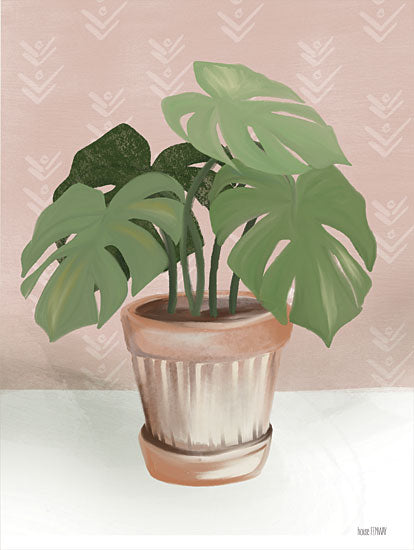 House Fenway FEN629 - FEN629 - House Monstera Plant - 12x16 Monstera Plant, Plant, House Plant, Potted Plant, Greenery from Penny Lane