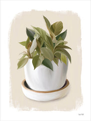 FEN694 - House Plant III - 12x16