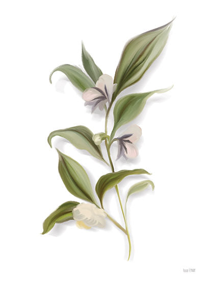 House Fenway FEN834 - FEN834 - White Blossom Botanical - 12x16 Flowers, Blossom, Botanical, Spring from Penny Lane