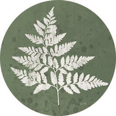 FEN852RP - Fern Botanical I - 18x18