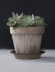 FEN866 - Farmhouse Succulent - 12x16