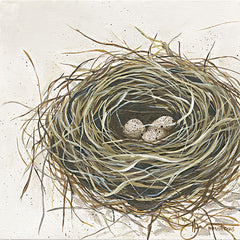 HH189 - New Life - 12x12
