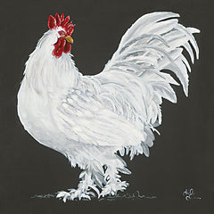 HH214 - Rooster    - 12x12