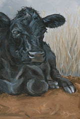 HH221 - Angus Cow   - 12x18
