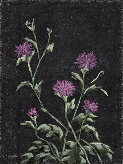 Jennifer Holden HOLD168 - HOLD168 - Beauty Among the Thorns - 12x16 Flower, Purple Flower, Botanical, Black Background from Penny Lane