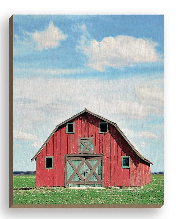 JG Studios JGS382FW - JGS382FW - Barn with Green Doors - 16x20 Barn, Red Barn, Farm, Photography from Penny Lane