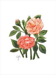 JGS555 - Peachy Roses - 12x16
