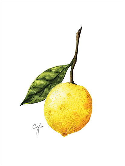 JG Studios JGS558 - JGS558 - Lemon Study - 12x16  Kitchen, Lemon, Fruit, Lemon Study from Penny Lane