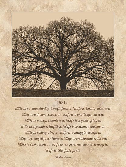 John Jones JJ463 - Life Is...  - Tree, Sepia, Inspirational, Mother Teresa from Penny Lane Publishing