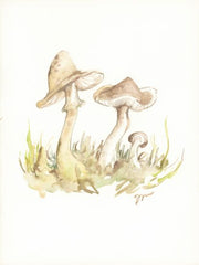 JM546LIC - Fall Mushrooms - 0