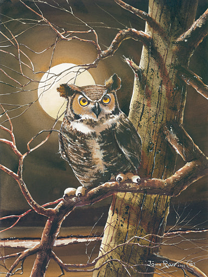 John Rossini JR364 - JR364 - The Night Owl - 12x16 Owl, Night Owl, Trees, Moon, Nature from Penny Lane