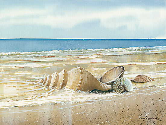 John Rossini JR371 - JR371 - Seashells - 16x12 Shells, Ocean, Sand, Beach, Nautical, Landscape from Penny Lane