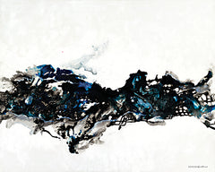 KAM117 - Beautiful Chaos from Above - 18x12
